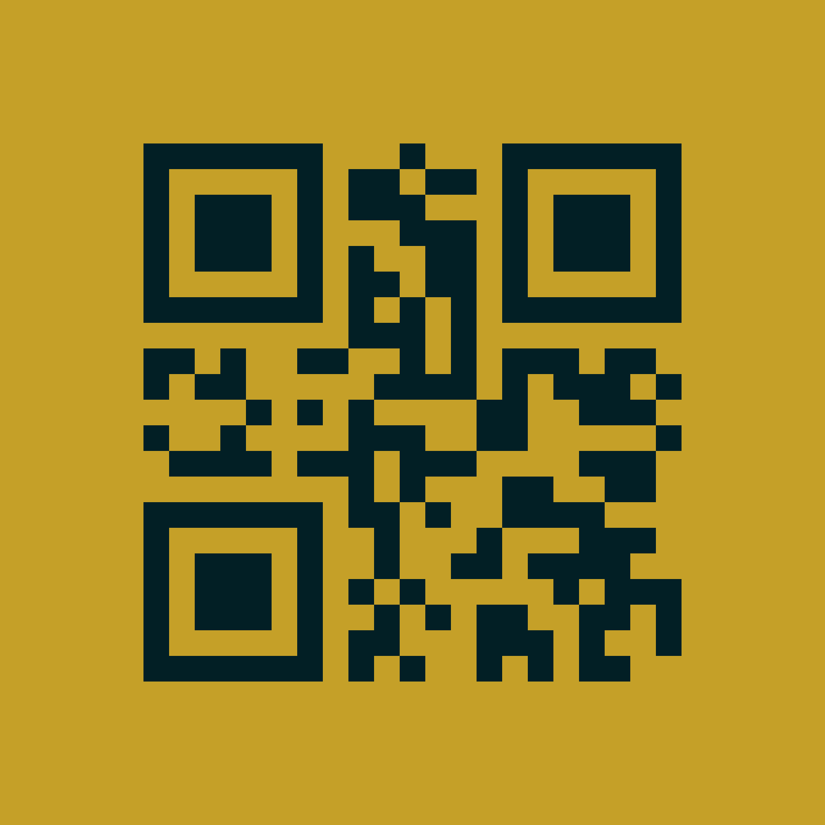 QR Descarga